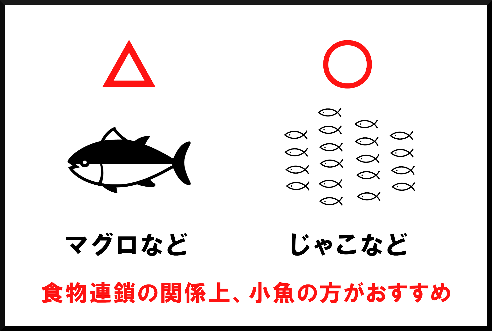 魚